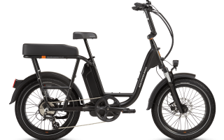 RadRunner™ Plus Electric Cargo Utility Bike