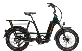 RadRunner™ Max Electric Cargo Utility Bike
