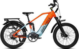 RogueHawk FS 2