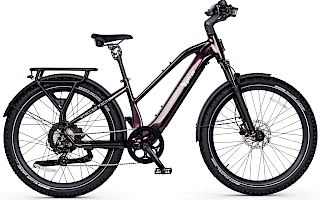 Stellar Falcon Mid-Step