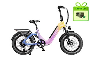 Ranger 3.0 Pro Limited Miami Sunset