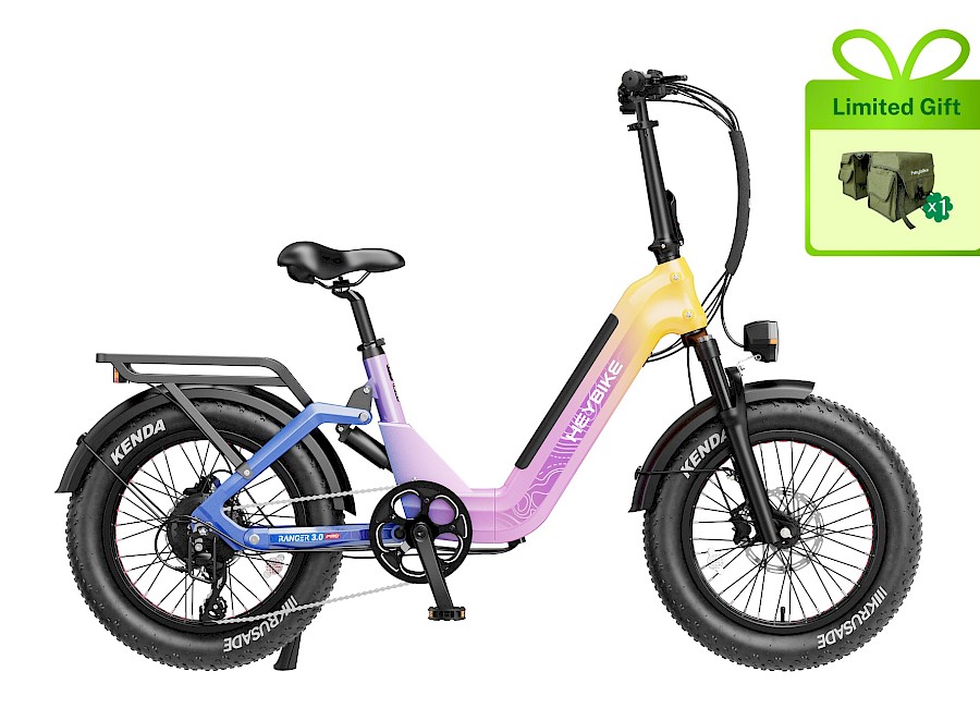 Ranger 3.0 Pro Limited Miami Sunset