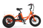 CD1 Electric Youth Trike