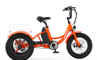 CD1 Electric Youth Trike