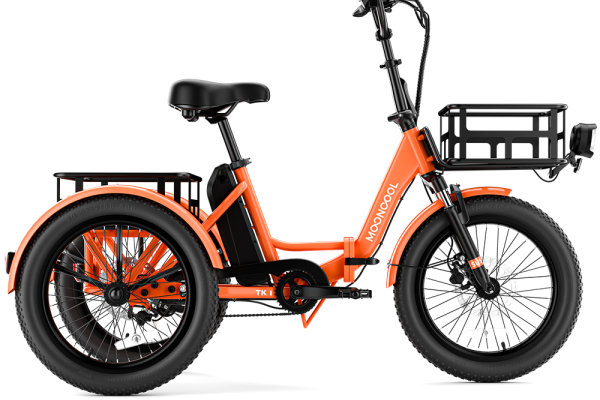 TK1 Folding Electric Trike